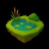 Pond
